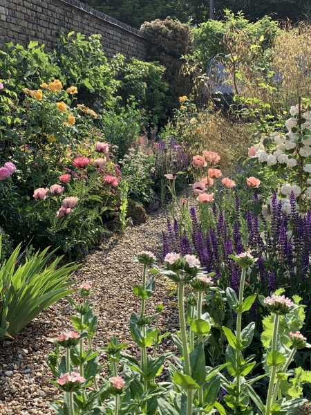 Walled Garden, Farquhar Street